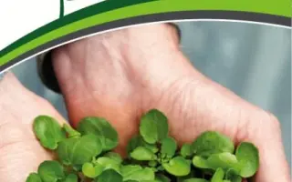 ПОДМОСКОВНЫЙ