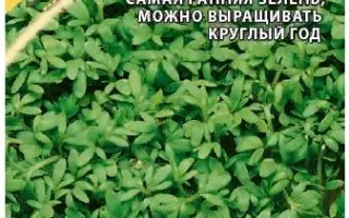 ВИТАМИНЧИК