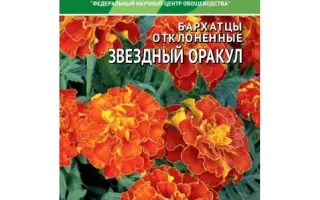 ЗВЕЗДНЫЙ ОРАКУЛ