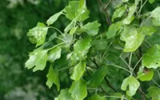 ХОПЕРСКИЙ 1