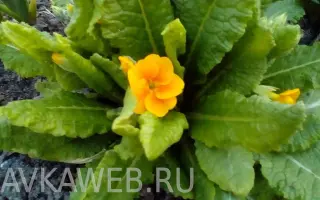 ДЕНЬ ПОБЕДЫ