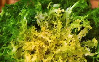 КОРОЛЕВСКИЙ