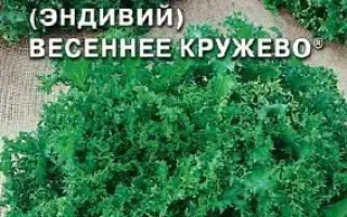 ВЕСЕННЕЕ КРУЖЕВО