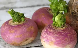 БРИГАНТИНА