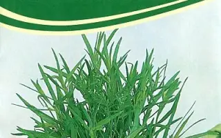 ЖУЛЕБИНСКИЙ СЕМКО