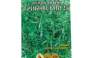 ГРИБОВСКИЙ 23