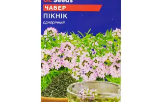ПИКНИК