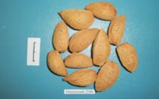 НИКИТСКИЙ 2240