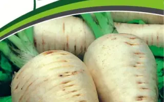 ЛУЧШИЙ ИЗ ВСЕХ