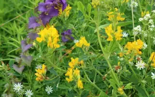 ПОВОЛЖСКАЯ 94