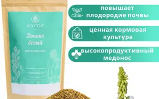 ОБСКОЙ ГИГАНТ