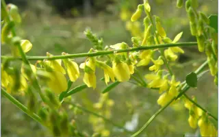 КАРАБАЛЫКСКИЙ