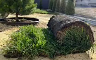 МОРШАНСКАЯ 97