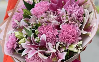 РОЗОВЫЙ РАССВЕТ