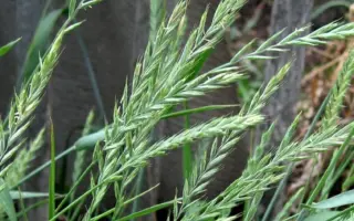 ОЗЕРНЕНСКИЙ