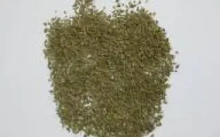 АЛЕКСЕЕВСКИЙ 68