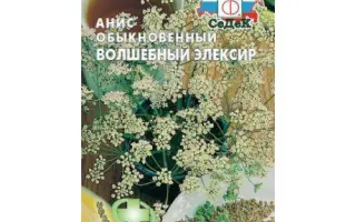 ВОЛШЕБНЫЙ ЭЛИКСИР