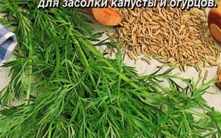 АППЕТИТНЫЙ