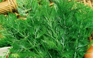 ВОСТОЧНЫЙ АРОМАТ