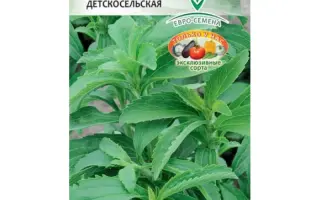 ДЕТСКОСЕЛЬСКАЯ