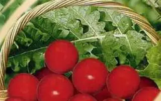 ТРИУМФАТОР