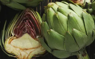 КАРЧОФЬОРЕ