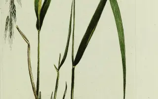 НЮРБИНСКИЙ