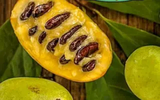 ОСЕННИЙ СЮРПРИЗ