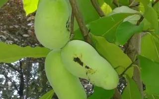 СОЧИНСКАЯ 12