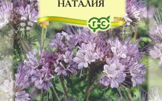 НАТАЛИЯ