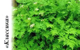 ДИЕТИЧЕСКИЙ