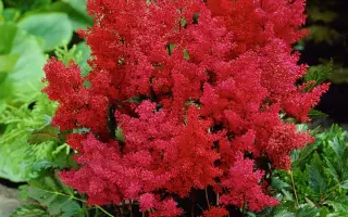 ДИССЕЛЬДОРФ