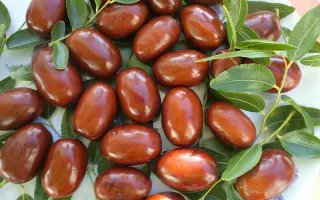 ПЛОДИВСКИЙ