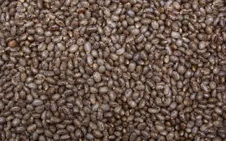 ДОНСКАЯ КРУПНОКИСТНАЯ