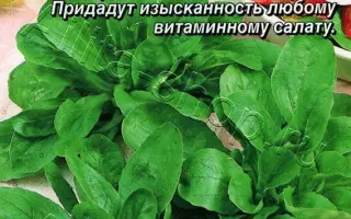 МАЛЕНЬКИЙ ПРИНЦ