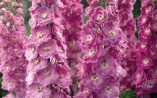 ФАНТАСТИКА