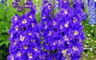 КОРОЛЬ АРТУР