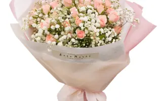 КРУЖЕВНИЦА