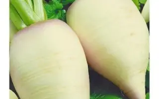 ОСТЕРЗУНДОМСКИЙ