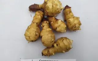 СКОРОСПЕЛКА