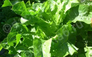 УВАРОВСКИЙ