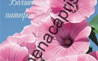 ВОЛШЕБНЫЙ ПАТЕФОН