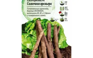 СОЛНЕЧНАЯ ПРЕМЬЕРА