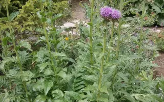 ТЮГУРЮКСКИЙ