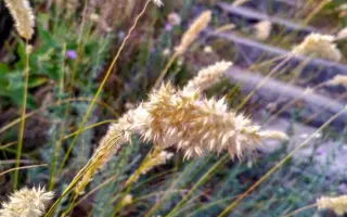 ХАБАРОВСКИЙ 86