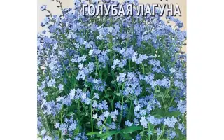 ГОЛУБАЯ ЛАГУНА