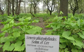 ВОСХОЖДЕНИЕ