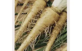 ДЕЛИКАТЕСНЫЙ