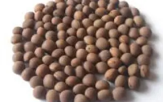 Білоцерківська 10