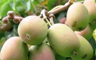 /Загадкова/ / Загадкова